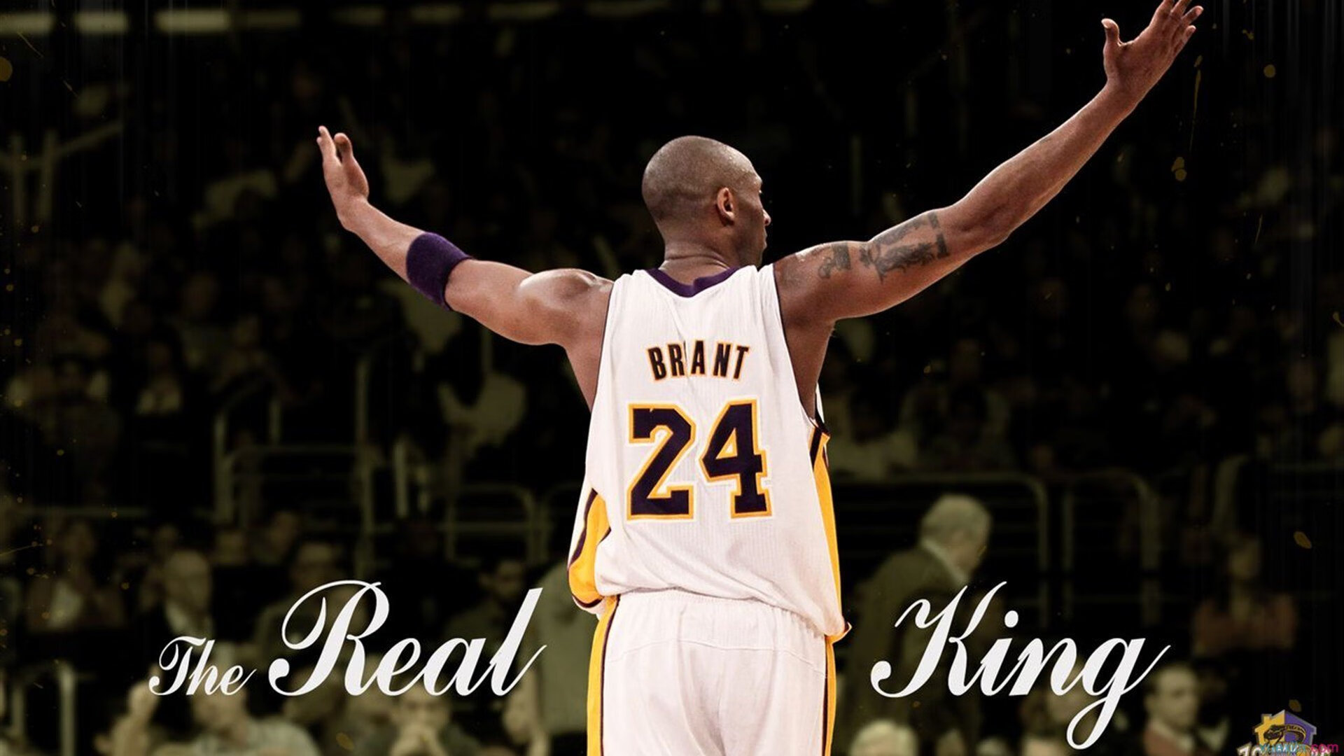 乐鱼体育-2025亚太U30杰出青年领袖榜单：王楚钦、郑钦文、张雨霏领衔新一代领袖崭露头角